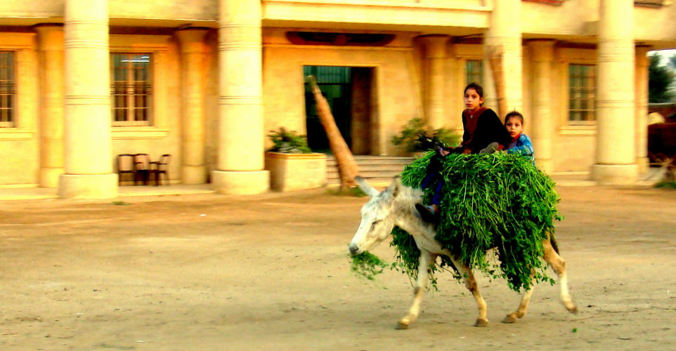 http://www.ben-dror.com/files/gimgs/th-21_DSC05937.jpg